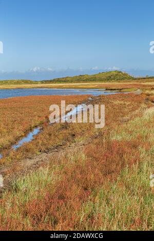 Panorama des Naturparks De Slufter auf der Watteninsel Texel, Nordholland, Niederlande Stockfoto