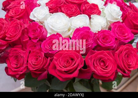 Mehrfarbiger Strauß von roten, rosa und weißen Rosen Stockfoto