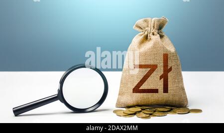 Polnischer Zloty Geldbeutel und Lupe. Finanzprüfung und Überwachung von verdächtigem Kapital und Transaktionen. Anwerbung von Investitionsfinanzierungen. Stockfoto