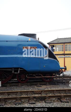 'Bittern' im Hof bei Barrow Hill. Stockfoto