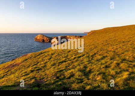 Ein Blick auf Ynys Lochtyn, vom Küstenweg bei Llangrannog ein beliebtes Touristenziel an der Küste von Ceredigion, Wales Stockfoto