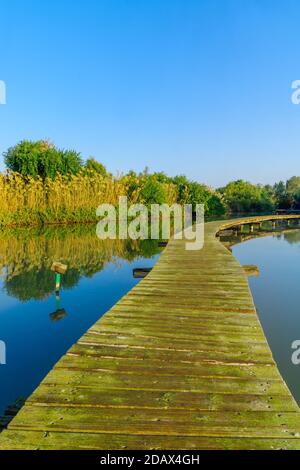 Blick auf einen erhöhten Pfad über einem Teich, im en Afek Naturschutzgebiet, Nord-Israel Stockfoto