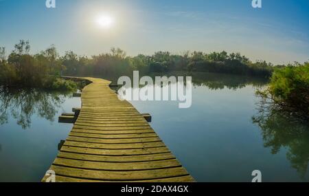 Blick auf einen erhöhten Pfad über einem Teich, im en Afek Naturschutzgebiet, Nord-Israel Stockfoto