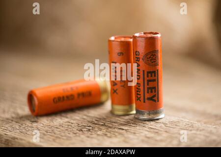 Alte Eley 12-Gauge Papier Gehäuse Schrotflinten Patronen mit Bleischuss geladen. Aus einer Sammlung von sportlichen Erinnerungsstücken. England GB Stockfoto