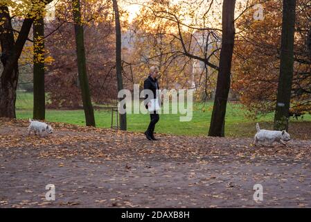 11/14/2020. Park Stromovka. Prag tschechische Republik. Eine Frau geht an einem Sonntagswintertag mit ihren beiden identischen Hunden im Park. Stockfoto