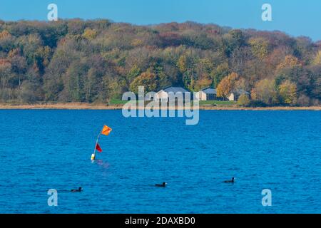 Modernes Wikingermuseum Haithabu, Busdorf bei Schleswig, Haddebyer Noor, Schleiregion, Schleswig-Holstein, Norddeutschland, Europa Stockfoto