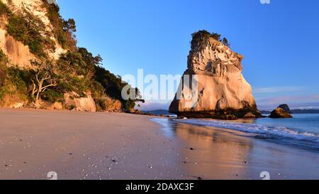 Morgen in Cathedral Cove in der Nähe von Hahei, Neuseeland Stockfoto