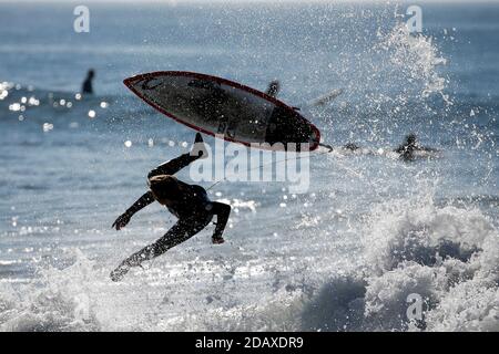 Los Angeles, Kalifornien, USA. November 2020. Ein Surfer fällt von seinem Brett in Huntington Beach, Kalifornien, Sonntag, 15. November 2020. Astronomische Hochtiden sind als "King Tides" bekannt und treffen die kalifornische Küste am Sonntag und Montagmorgen, und an einigen Orten bis Dienstag. Kredit: Ringo Chiu/ZUMA Wire/Alamy Live Nachrichten Stockfoto