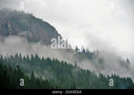 Majestätischer Blick auf einen dichten, von Bäumen bedeckten Berghang umgeben Niedrig fliegende Wolken Stockfoto