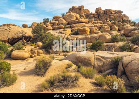 Felsen und Bäume entlang des Pfades im Joshua Tree National Park, Kalifornien Stockfoto