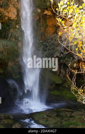 Langzeitbelichtung des Unterbodens eines Wasserfalls, der mitten in einem Wald über den Fluss bricht. Naturkonzept Stockfoto