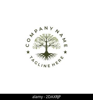 Baum des Lebens Stempelplakette Emblem Eiche Banyan Logo Design tamplate Stock Vektor