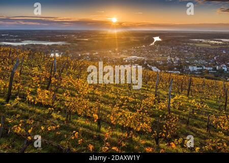 Tokaj, Ungarn - Luftaufnahme der weltberühmten ungarischen Weinberge von Tokaj Weinregion mit Stadt von Tokaj und goldenem Sonnenaufgang im Hintergrund auf einem Krieg Stockfoto