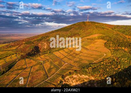 Tokaj, Ungarn - Luftaufnahme der weltberühmten ungarischen Weinberge von Tokaj Weinregion mit goldenem Sonnenaufgang und blauem bewölktem Himmel auf einem warmen Herbst mor Stockfoto