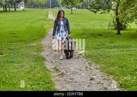 Junge Dame spaziert mit schwarzem Hund im Park im Sommer. Stockfoto