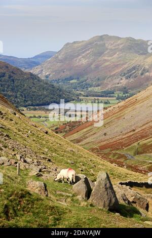 Kirkstone Pass, A592 von Windermere nach Patterdale, Cumbria, mit dem Brothers Water in der Ferne. Stockfoto