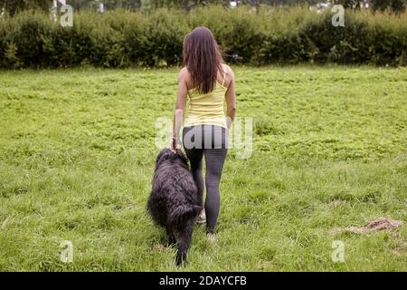 Rückansicht auf zu Fuß schwarz langhaarige briard und Frau im öffentlichen Park. Stockfoto