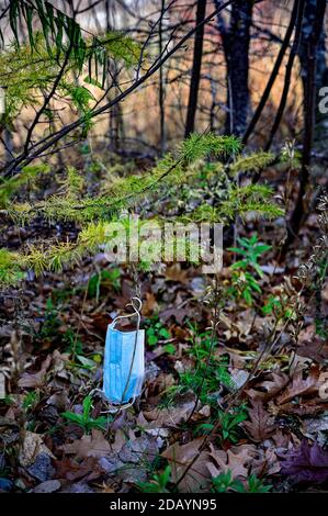 Weggeworfene Gesichtsmaske, die die Natur verschmutzt Stockfoto