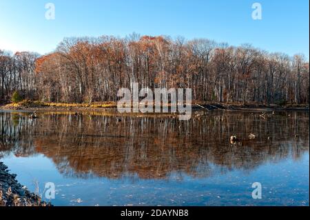 Herbst Reflexion Stockfoto