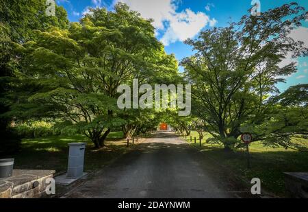 Abbildung zeigt die Abtei "Abbaye Notre-Dame de Scourmont", Mittwoch, 20. Mai 2020, in Chimay. BELGA FOTO VIRGINIE LEFOUR Stockfoto