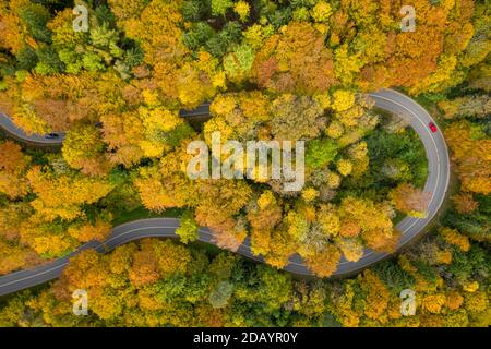 Fantastischer Herbst - farbenfrohe Baumkronen mit einem signifikanten roten Auto, das im Herbst durch eine Doppelkurve einer Serpentinenstraße fährt. Stockfoto