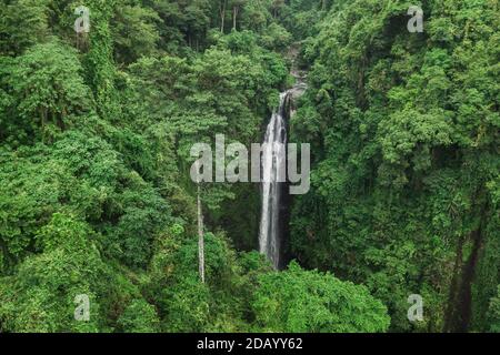 Luftdrohne Ansicht von großen versteckten Wasserfall im Dschungel Regenwald. Wilde unberührte Natur, grüner Hintergrund. Bali, Indonesien Stockfoto