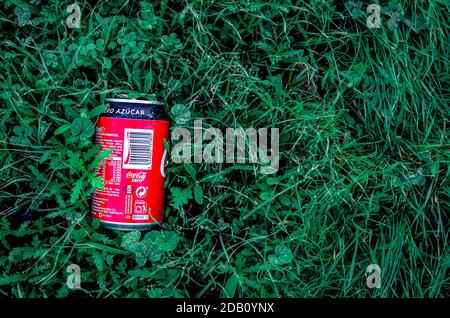 Eine Dose Coca-Cola Zero auf grünem Gras. Missachtung der Umwelt. Speicherplatz kopieren. Stockfoto