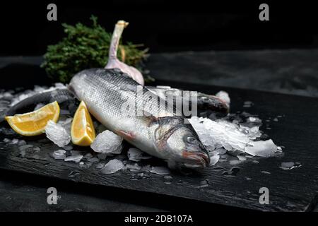 Roh frisch Bio dorado oder Seebrasse auf Eiswürfeln auf schwarzem Schiefer, Stein oder Beton Hintergrund. Stockfoto