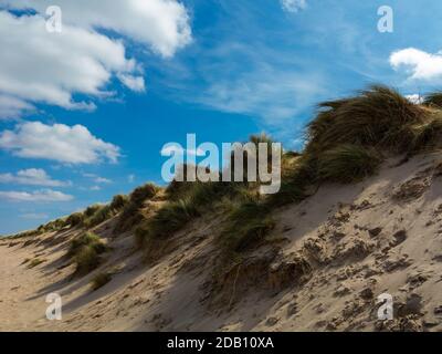 Sanddünen am Strand an der Holkham Bay im Norden Norfolks England ein nationales Naturschutzgebiet, das seltene Tier- und Pflanzenarten beheimatet. Stockfoto