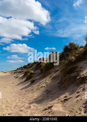 Sanddünen am Strand an der Holkham Bay im Norden Norfolks England ein nationales Naturschutzgebiet, das seltene Tier- und Pflanzenarten beheimatet. Stockfoto