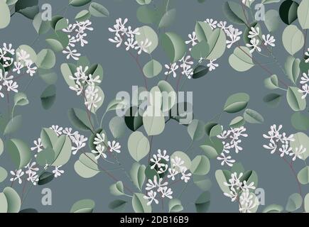 Aquarell Eukalyptus Blatt Pflanze, Silber Dollar Pflanze Sukkulente Illustration, Blume immergrüne Hochzeitsdekoration. Botanischer Kranz Zweig und Knospen. Stock Vektor