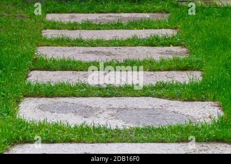 Streng Steinplatten auf einem grünen Rasen. Landschaftskonzept. Nahaufnahme, selektiver Fokus, geringe Schärfentiefe. Stockfoto