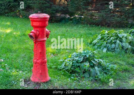 Alte Hydrant der roten Farbe auf dem grünen Gras des Rasens. Brandschutzkonzept. Selektiver Fokus, Nahaufnahme. Stockfoto