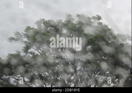 Regen fällt auf ein Fenster mit Baum und wolkenverwigem Himmel Im Hintergrund Stockfoto