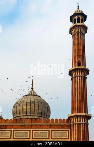 Jama Masjid Moschee, Delhi, Indien Stockfoto