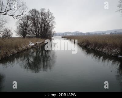 Die Radolfzeller Aach betritt den Bodensee bei Moos. Stockfoto