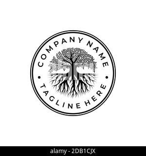 Baum des Lebens Stempelsiegel Emblem Eiche Banyan Baum Logo Designinspiration Stock Vektor
