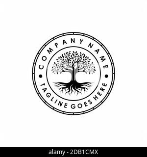 Baum des Lebens Stempelsiegel Emblem Eiche Banyan Baum Logo Designinspiration Stock Vektor