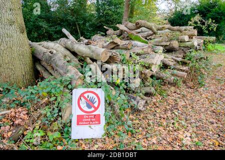 Schneiden Sie Holzstämme mit Warnschild gegen Klettern auf Stapel. Stockfoto