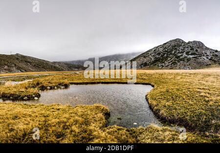 Plateau bewachsen mit dichtem Gras und kleinen Bergteichen. In der Ferne sind von Wolken umgebene Hügel zu sehen. Stockfoto