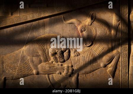 Reliefskulptur der Subjektmenschen des achämenischen Reiches im Apadana Palast, Persepolis, Iran. Stockfoto