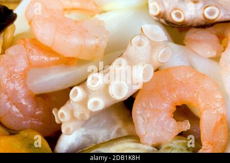 Nahaufnahme gekochte Garnelen und Tintenfisch Hintergrund Stockfoto