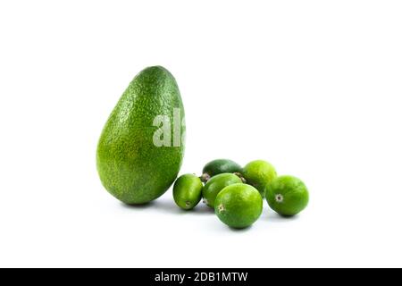 Set oder sortiert Avocado und andere exotische Früchte auf einem weißen isolierten Hintergrund, schöne Kompositionen oder Vorlagen für die Website Stockfoto