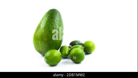 Set oder sortiert Avocado und andere exotische Früchte auf einem weißen isolierten Hintergrund, schöne Kompositionen oder Vorlagen für die Website Stockfoto