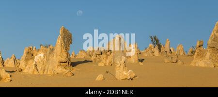 Die Pinnacles, Kalksteinsäulen im Nambung National Park, in der Nähe von Cervantes in Westaustralien, einige bis zu 3.5 Meter hoch im gelben Sand Stockfoto