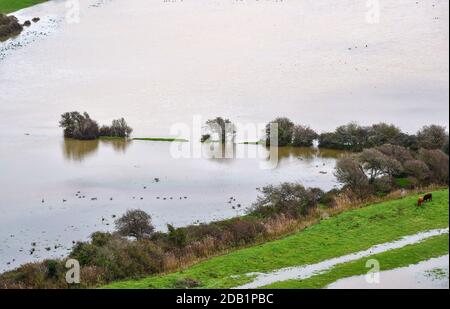 Alfriston Sussex UK 16. November 2020 - überflutete Felder und Ackerland am Fluss Cuckmere in Alfriston bei Seaford in East Sussex nach den jüngsten starken Regenfällen und ungewöhnlich hohen Gezeiten . Hochwasserwarnungen wurden in ganz Großbritannien nach dem jüngsten nassen Wetter ausgegeben, aber kältere Bedingungen werden für später in der Woche prognostiziert : Credit Simon Dack / Alamy Live News Stockfoto