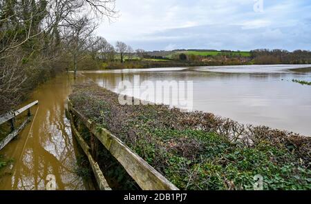 Alfriston Sussex UK 16. November 2020 - überflutete Felder und Ackerland am Fluss Cuckmere in Alfriston bei Seaford in East Sussex nach den jüngsten starken Regenfällen und ungewöhnlich hohen Gezeiten . Hochwasserwarnungen wurden in ganz Großbritannien nach dem jüngsten nassen Wetter ausgegeben, aber kältere Bedingungen werden für später in der Woche prognostiziert : Credit Simon Dack / Alamy Live News Stockfoto