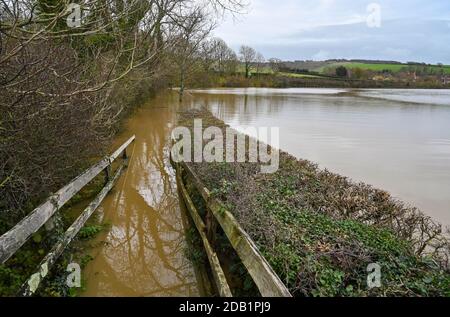 Alfriston Sussex UK 16. November 2020 - überflutete Felder und Ackerland am Fluss Cuckmere in Alfriston bei Seaford in East Sussex nach den jüngsten starken Regenfällen und ungewöhnlich hohen Gezeiten . Hochwasserwarnungen wurden in ganz Großbritannien nach dem jüngsten nassen Wetter ausgegeben, aber kältere Bedingungen werden für später in der Woche prognostiziert : Credit Simon Dack / Alamy Live News Stockfoto