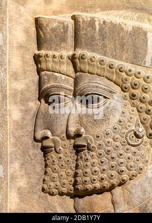 Reliefskulptur des Subjekts Menschen des Achämenischen Reiches im Apadana Palast, Persepolis, Iran Stockfoto