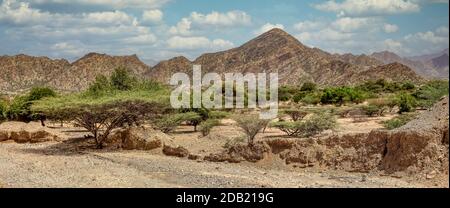 Schöne Hochlandlandschaft mit Tal. Afar-Region in der Nähe der Stadt Mekelle. Äthiopien, Afrika Wildnis Stockfoto